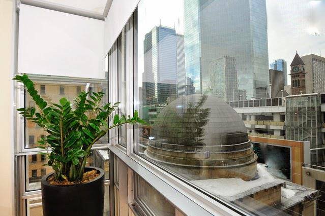 Yonge suites