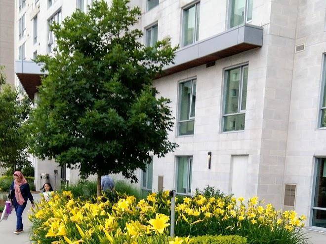 King's Court Residence Image