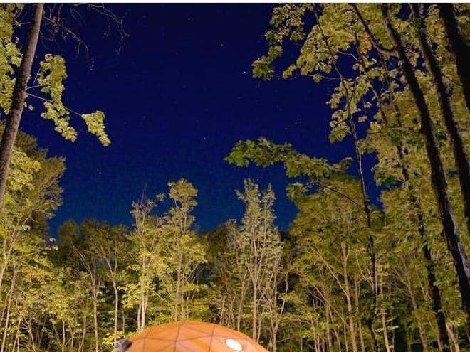 Treetop haven
