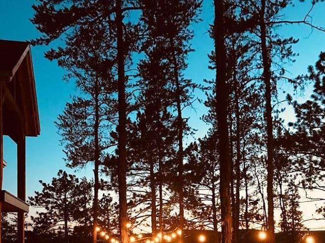 Gite du haut des arbres