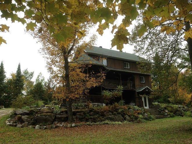 The white rabbit b&b