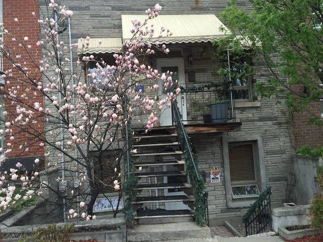 Le Sieur De Joliette Image