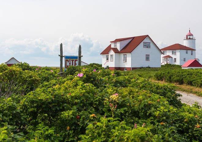 Maisons du phare de l'ile verte