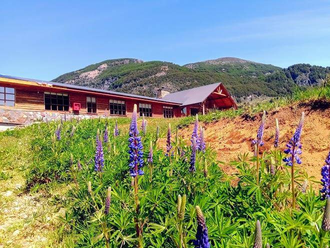 Magic Waters Patagonia Image