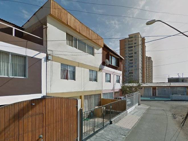 Mango Relajado Image