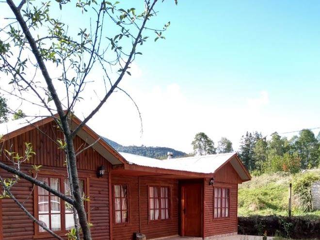 Cabana lago caburgua