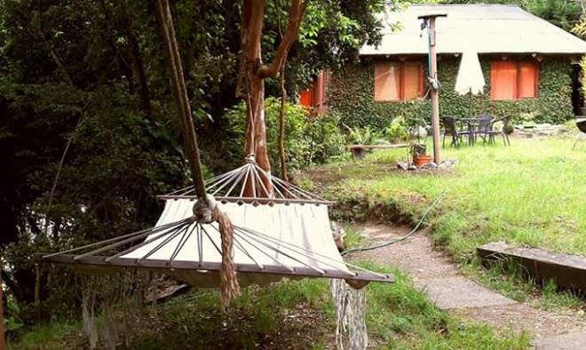 Cabanas amparo pucon