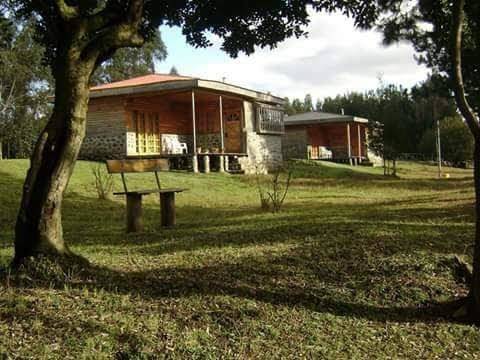 Cabanas huillimapu