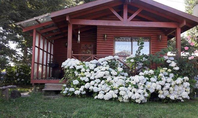 Cabanas madreselva pucon