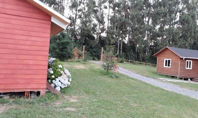 Cabanas namaste pucon