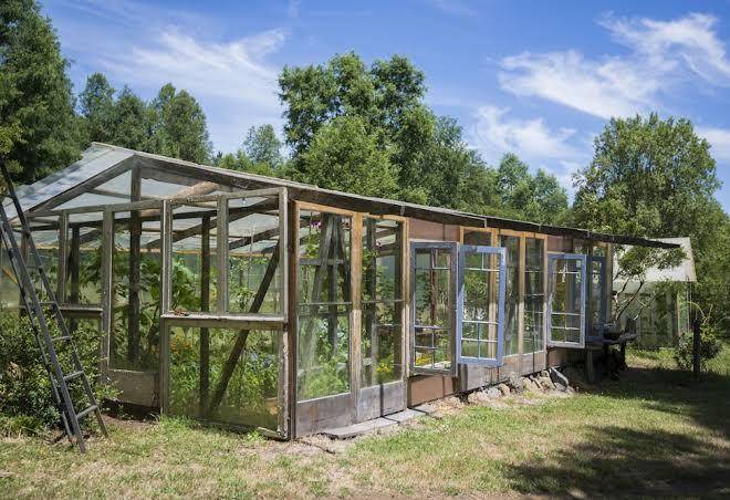 La codorniz b&b
