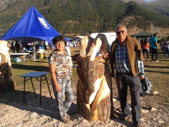 Cabana nevados andinos