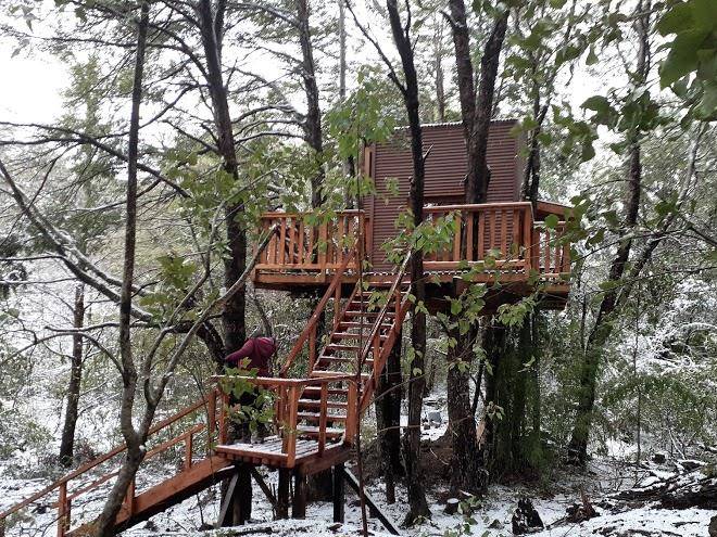 Domos entre bosques