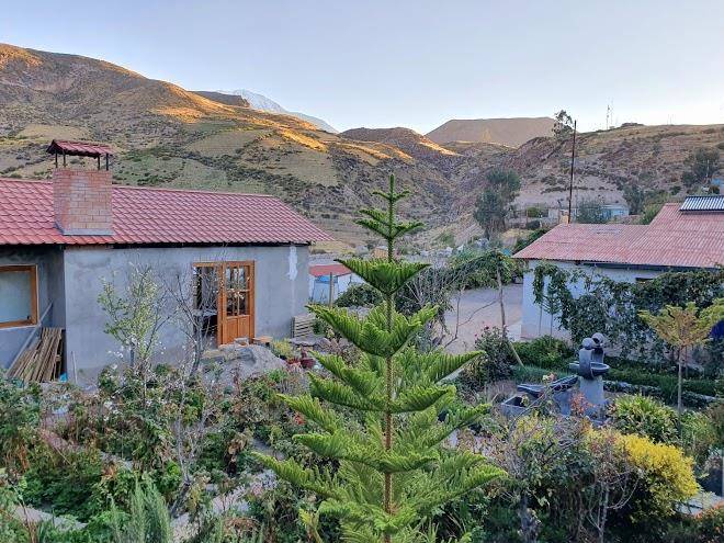 Vientos Del Altiplano Image