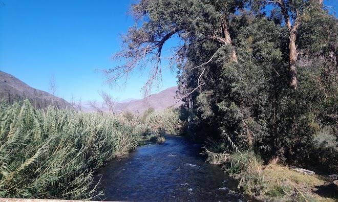 Almendral valle del elqui