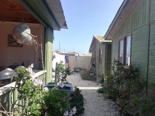Cabanas amarilis las ananucas