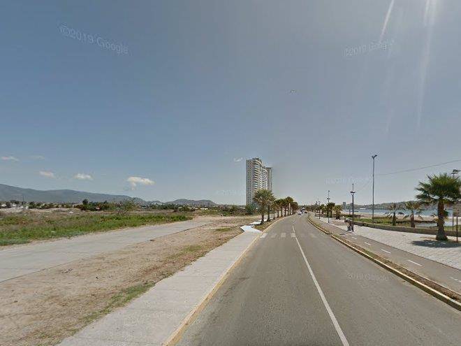 Las gaviotas de la herradura