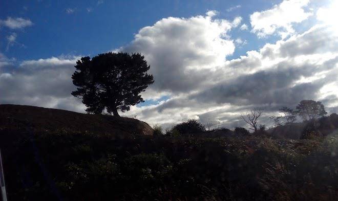 Cabanas mitos y leyendas de chiloe