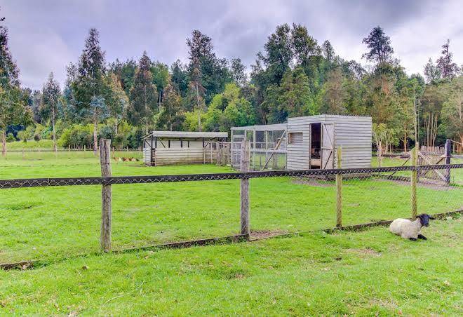 Cabana la pajarera en el sur