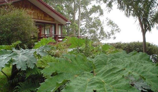Cabanas altue