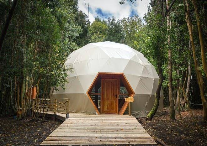 Cabanas ensenada bosque nativo