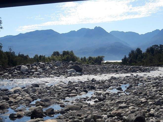 Coigue quemado
