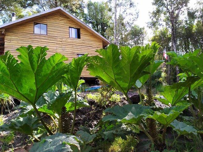 Hotel y cabanas km 192 chaiten