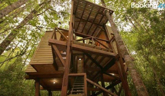Casita arbol