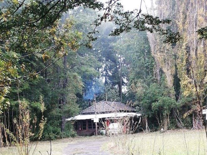 Centro Turistico Ecologico Isla Llancahue Image