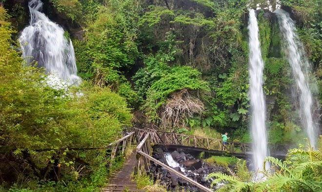 Hospedaje peumayen neltume