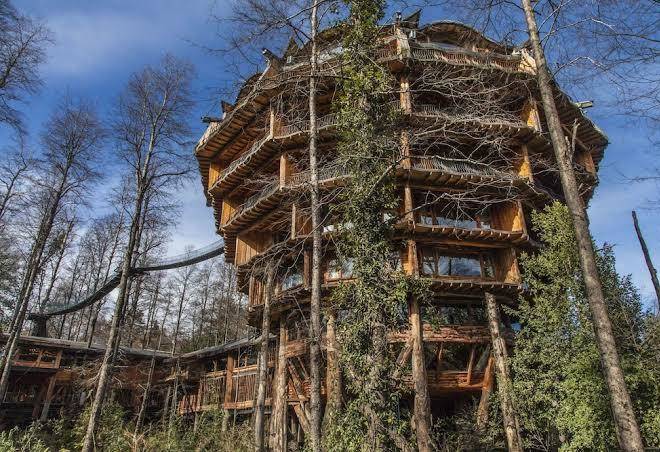 Nothofagus hotel reserva biologica huilo huilo