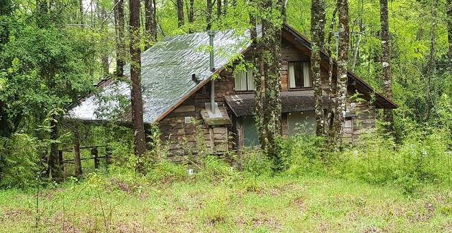 Reino fungi lodge