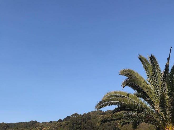 Complejo turistico el bosque de lipimavida