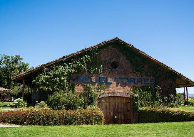 Vina Miguel Torres Chile Image