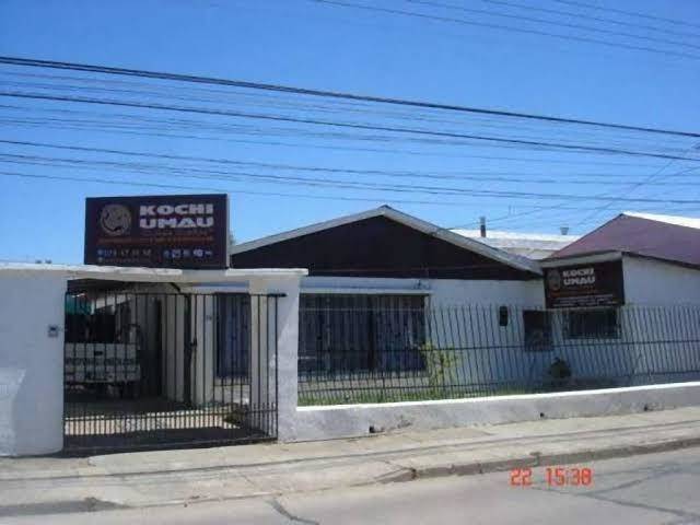 Kochi umau