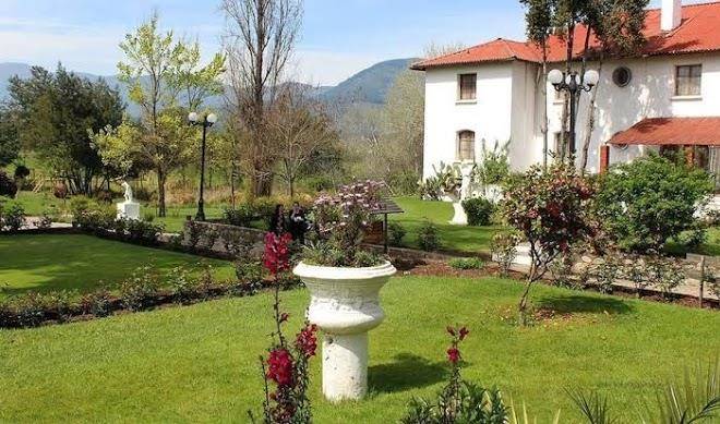 Termas de panimavida hotel & spa