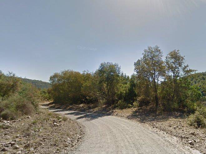 Carrera 7 Tazas Image