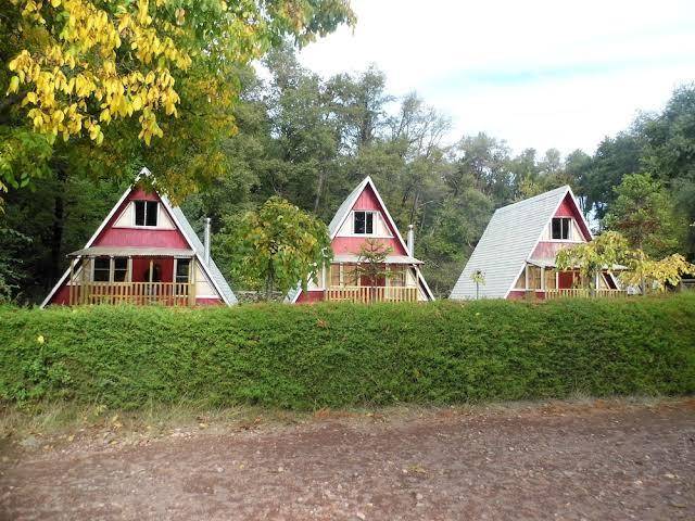 Bosque los lleuques