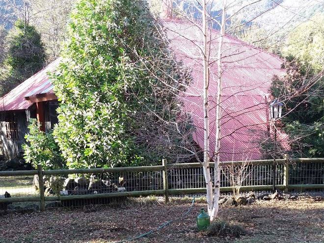 La cabana de piedra