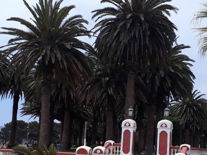 Cabanas celamar pichilemu