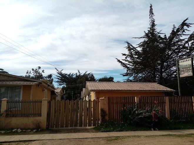 Turismo el bosque
