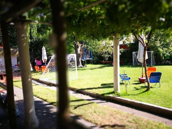 El Viejo Quillay Image