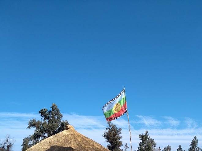 Parcela de agrado