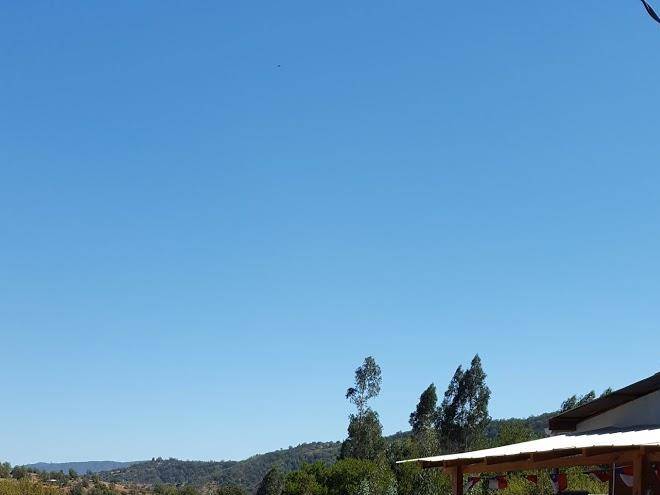 Quilpue sunshine