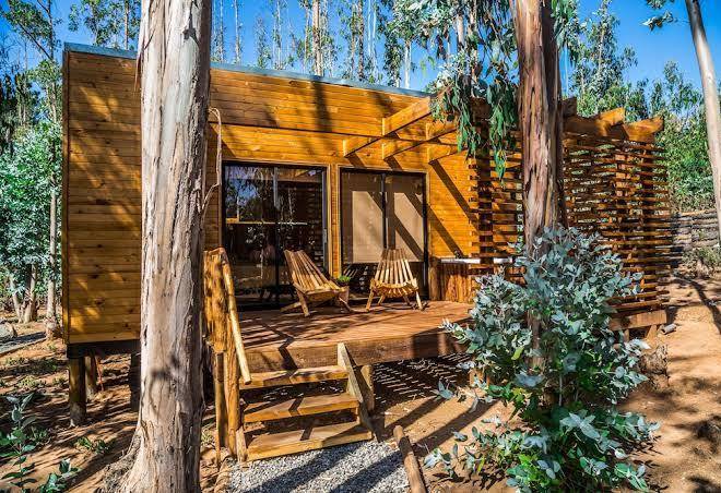 Lodge bosques de san jose