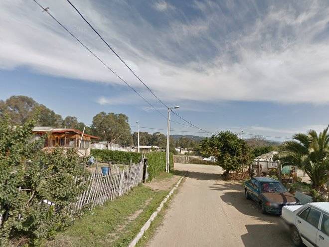 Curaumilla experience