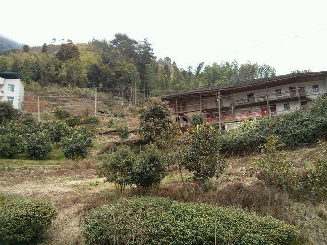 Hotspring grand hotel
