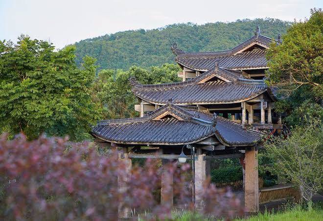 Wuyi mountain dahongpao resort
