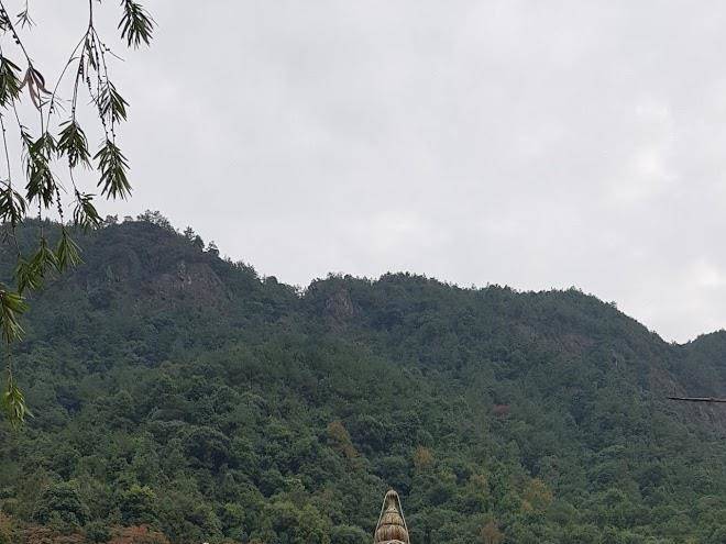 Jiulonggu forest park