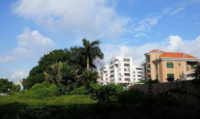 Wintop hotel